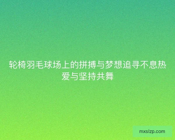 轮椅羽毛球场上的拼搏与梦想追寻不息热爱与坚持共舞